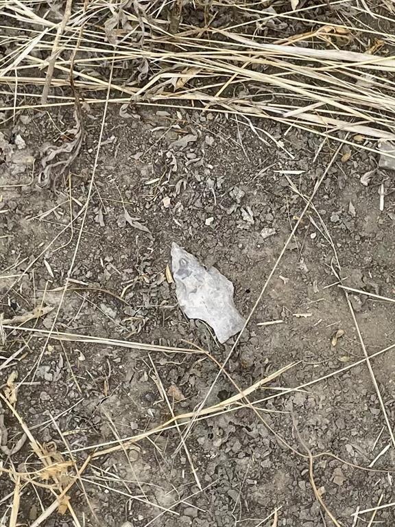 143 Rr 10 Voss, TX 76888 - Photo 32 of 39