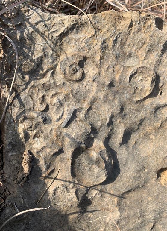 143 Rr 10 Voss, TX 76888 - Photo 33 of 39