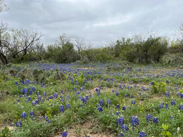 $876,000 | 143 Rr 10, Voss, TX 76888
