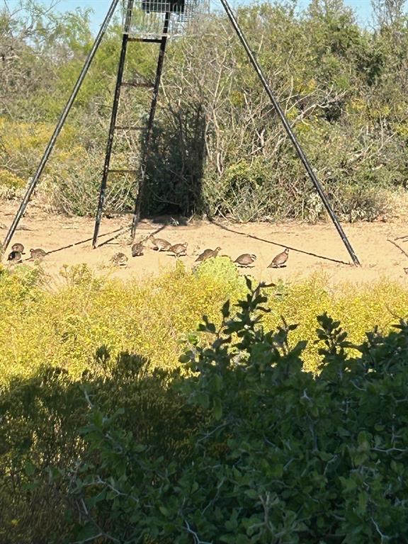 143 Rr 10 Voss, TX 76888 - Photo 37 of 39