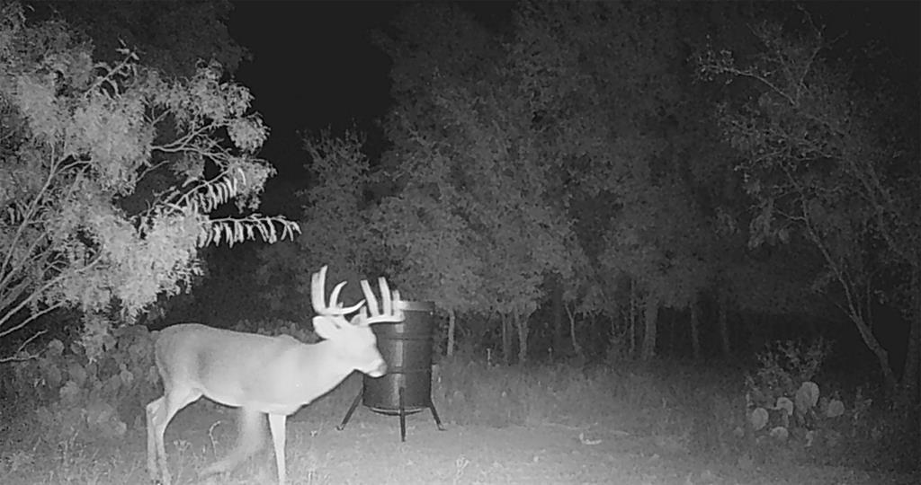 143 Rr 10 Voss, TX 76888 - Photo 38 of 39