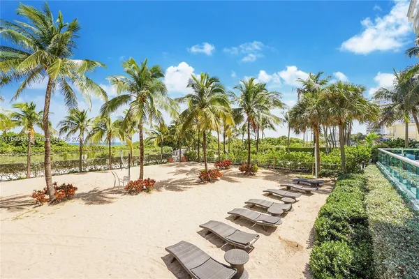 a row of palm trees sitting in a park with palm trees