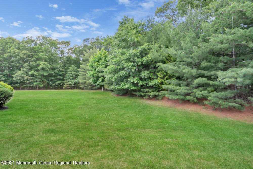 41 Crooked Stick Road Jackson, NJ 08527 - Photo 75 of 93 075_dsc01012_1