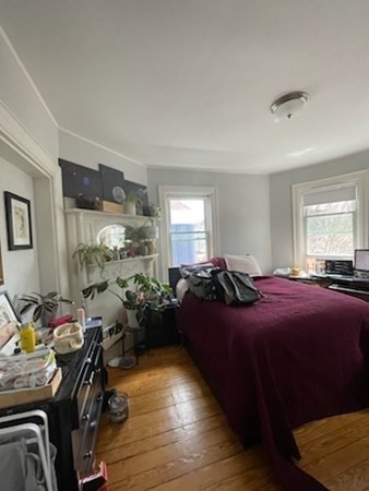 42 Grampian Way Boston, MA 02125 - Photo 15 of 37