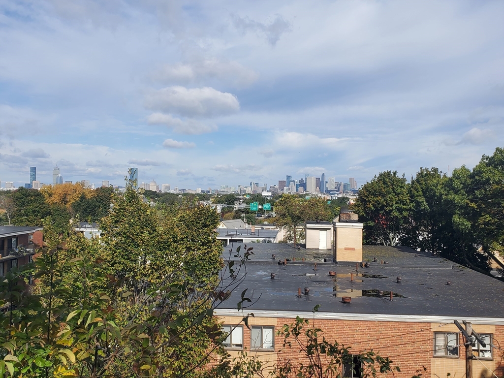 42 Grampian Way Boston, MA 02125 - Photo 36 of 37