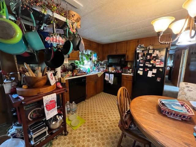 134 County Road Eastport, ME 04631 - Photo 34 of 46 unnamed-7