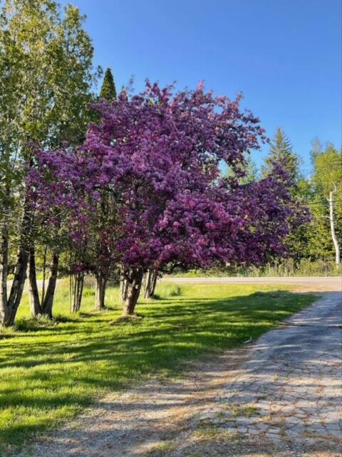 134 County Road Eastport, ME 04631 - Photo 6 of 46 IMG_8406