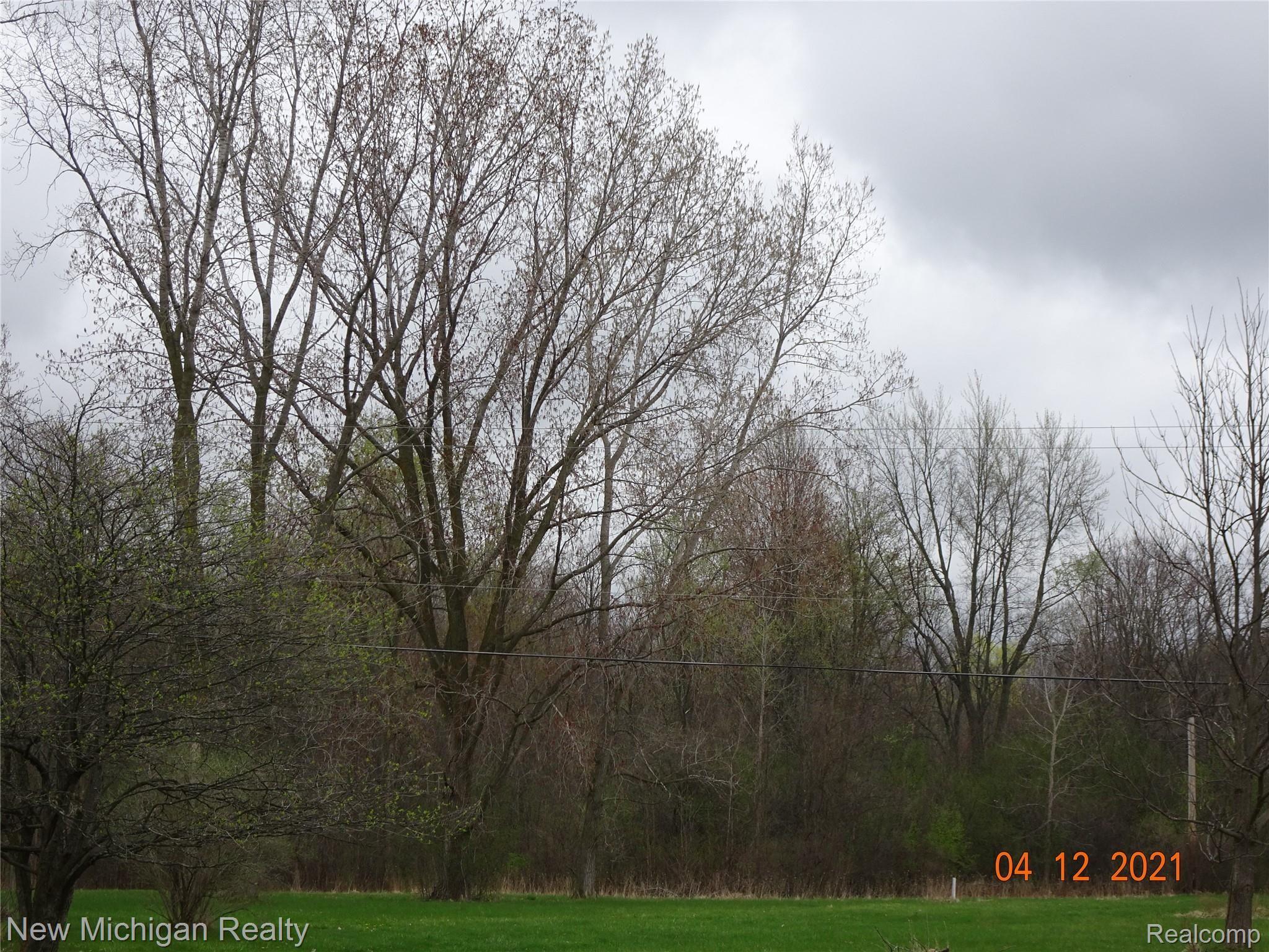 8166 Elms Road Flushing, MI 48433 - Photo 15 of 15 DSC01593.JPG