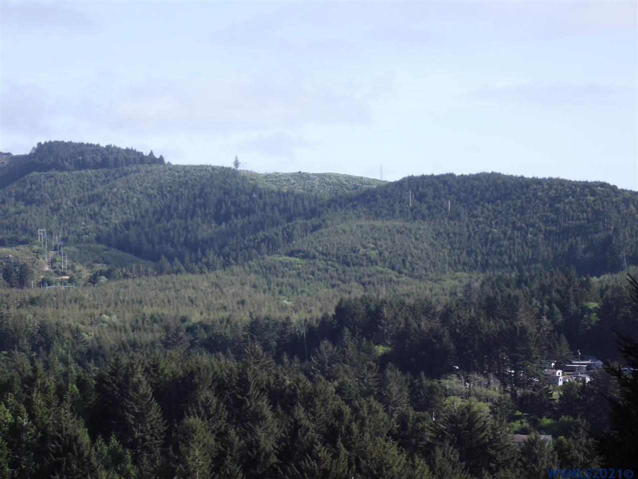 Spring (lot 45) Avenue Depoe Bay, OR 97341 - Photo 1 of 8