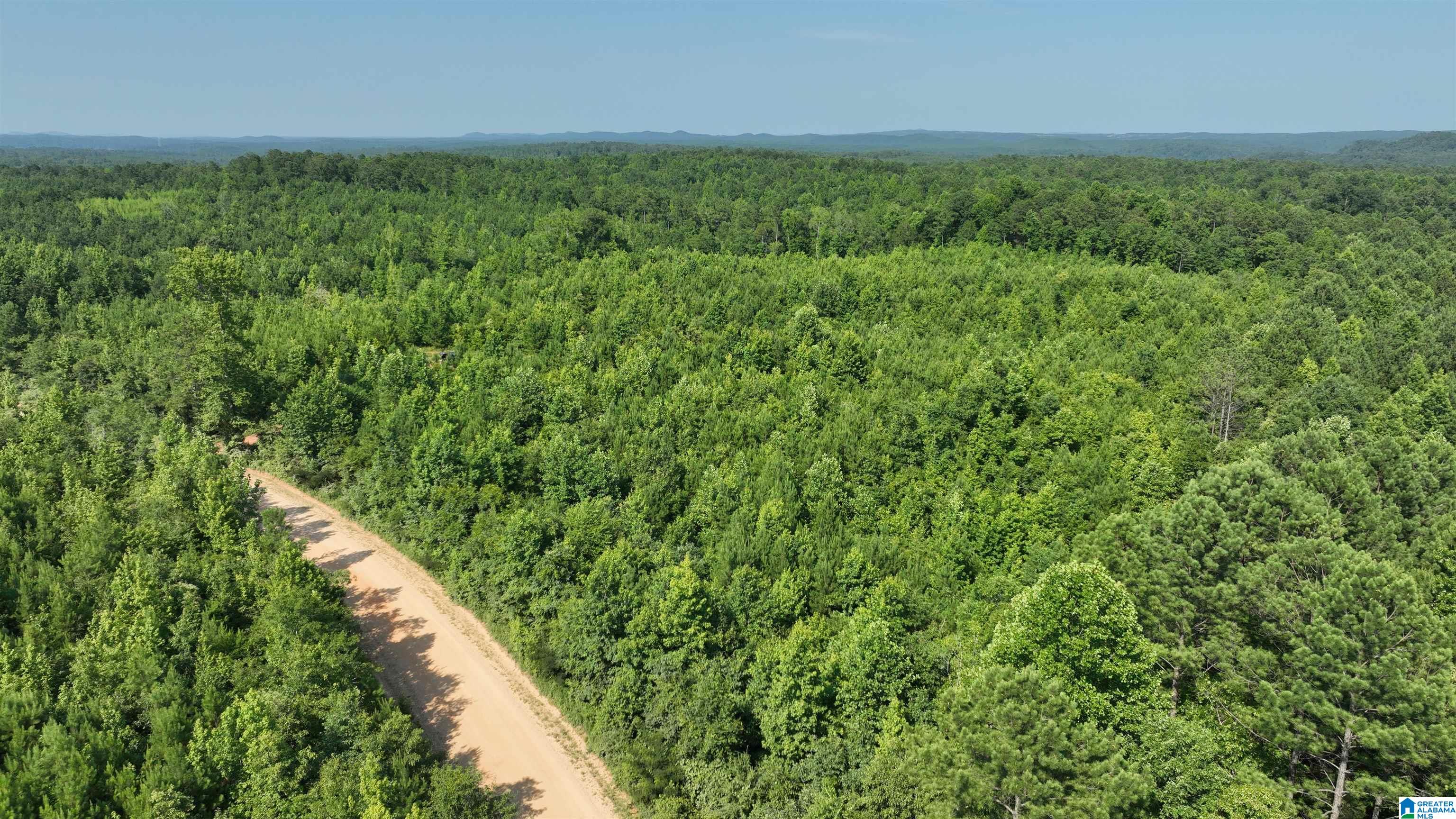 2 County Road 253, Unit 2 Clanton, AL 35046 - Photo 13 of 40