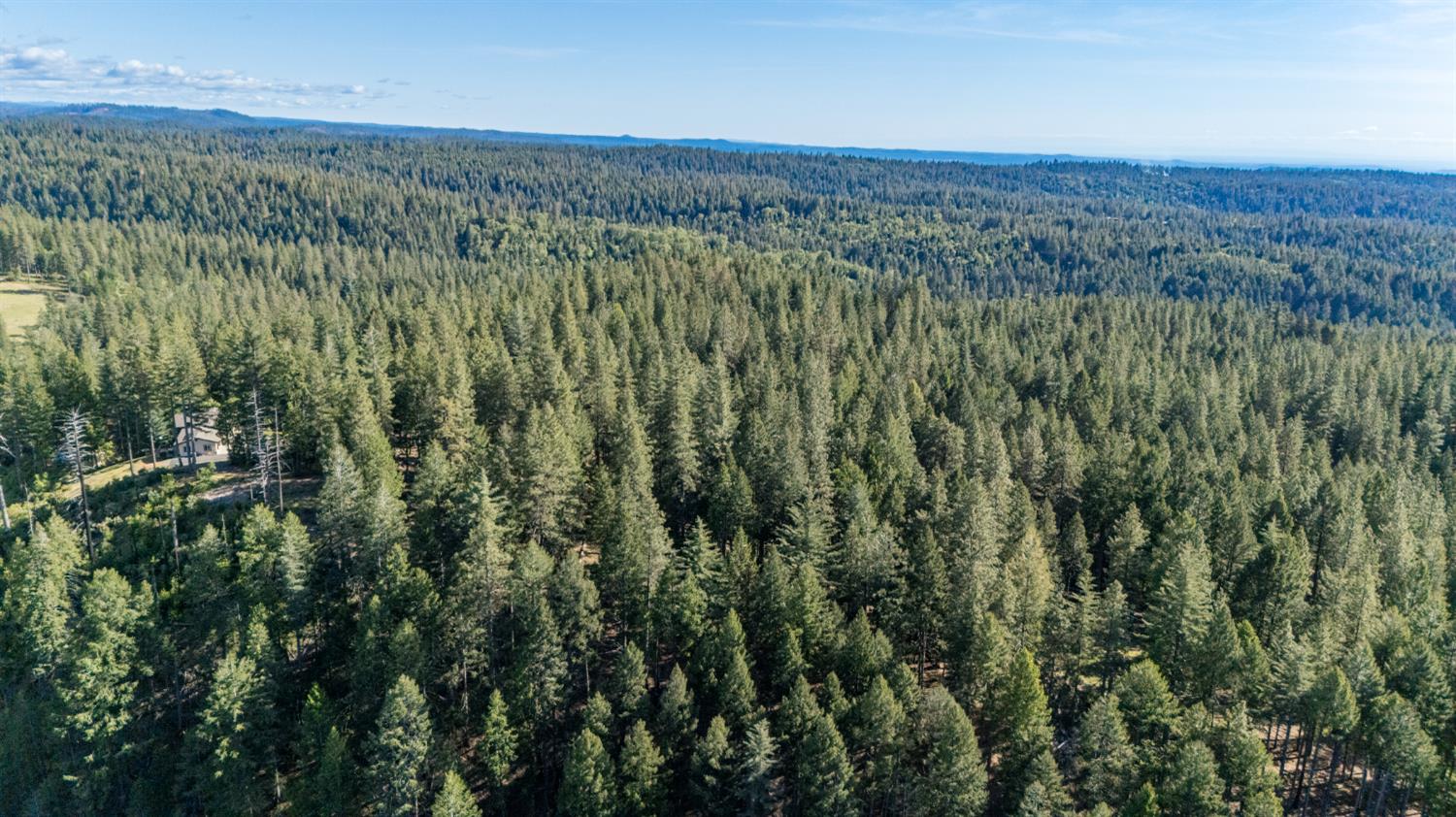 2070 King Of The Mountain Road Pollock Pines, CA 95726 - Photo 48 of 53 a view of a green field with lots of bushes