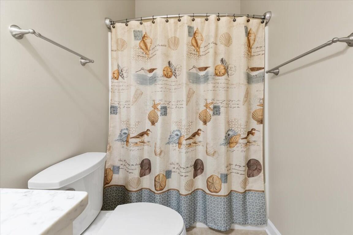 4030 Old Baltimore Road Draper, VA 24324 - Photo 38 of 105 a white toilet sitting next to a shower curtain