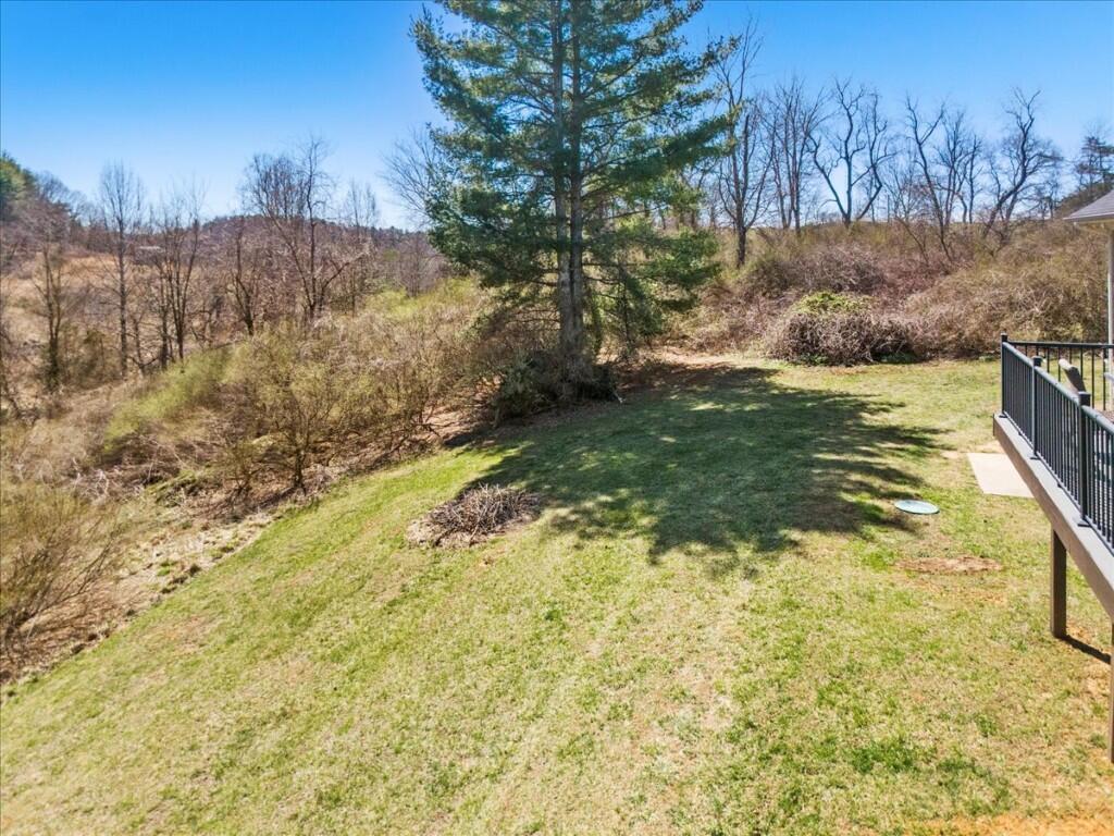 4030 Old Baltimore Road Draper, VA 24324 - Photo 70 of 105 a view of a yard with an outdoor space