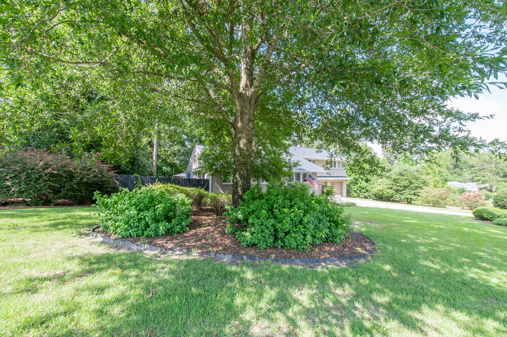 1017 Clark Road Southwest Aiken, SC 29803 - Photo 36 of 46 Garden!