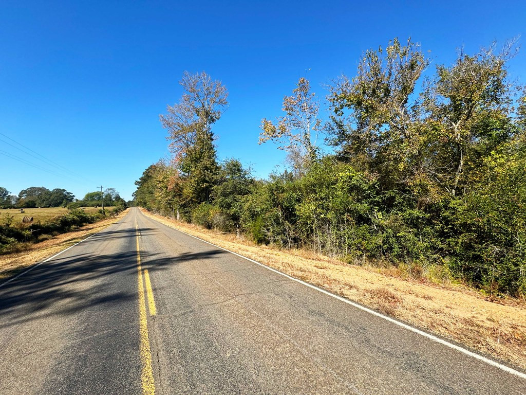 0 Fenn Road Smithdale, MS 39664 - Photo 12 of 18 Photo 12