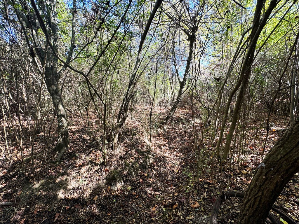 0 Fenn Road Smithdale, MS 39664 - Photo 13 of 18 Photo 13