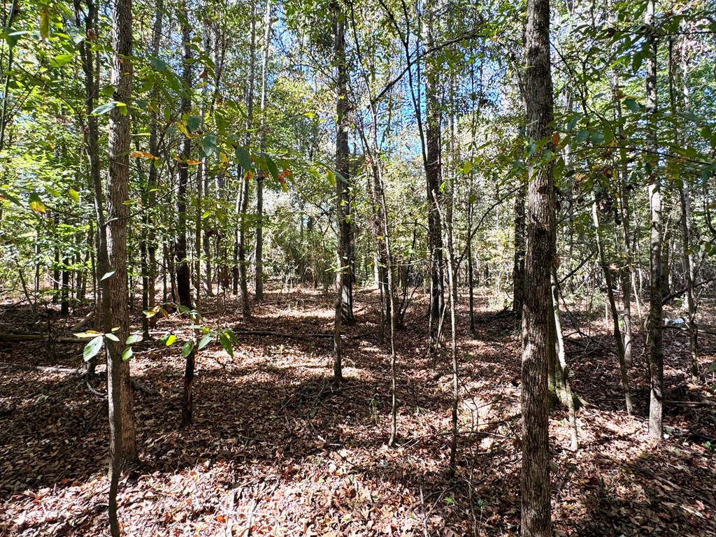 0 Fenn Road Smithdale, MS 39664 - Photo 16 of 18 Photo 16