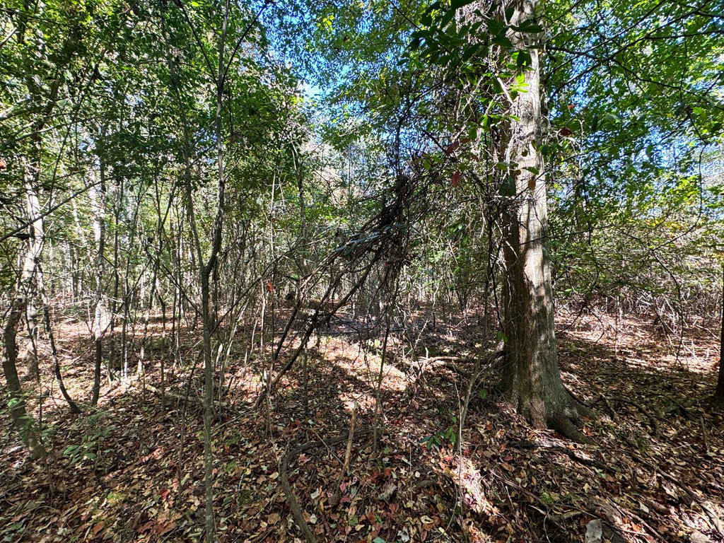 0 Fenn Road Smithdale, MS 39664 - Photo 18 of 18 Photo 18