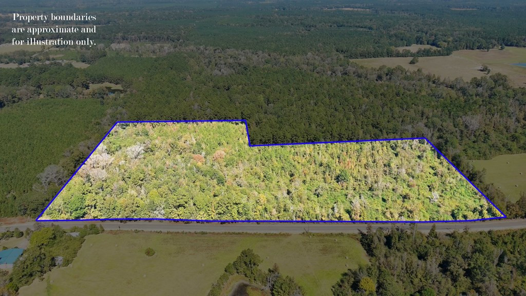 0 Fenn Road Smithdale, MS 39664 - Photo 4 of 18 Photo 4