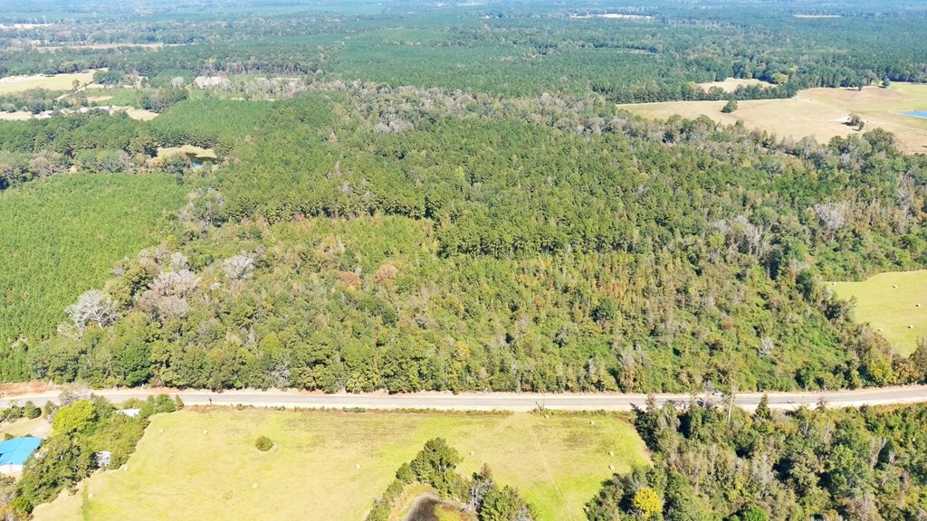 0 Fenn Road Smithdale, MS 39664 - Photo 5 of 18 Photo 5