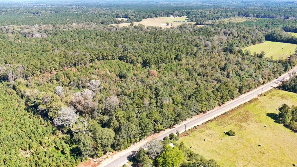 0 Fenn Road Smithdale, MS 39664 - Photo 6 of 18 Photo 6