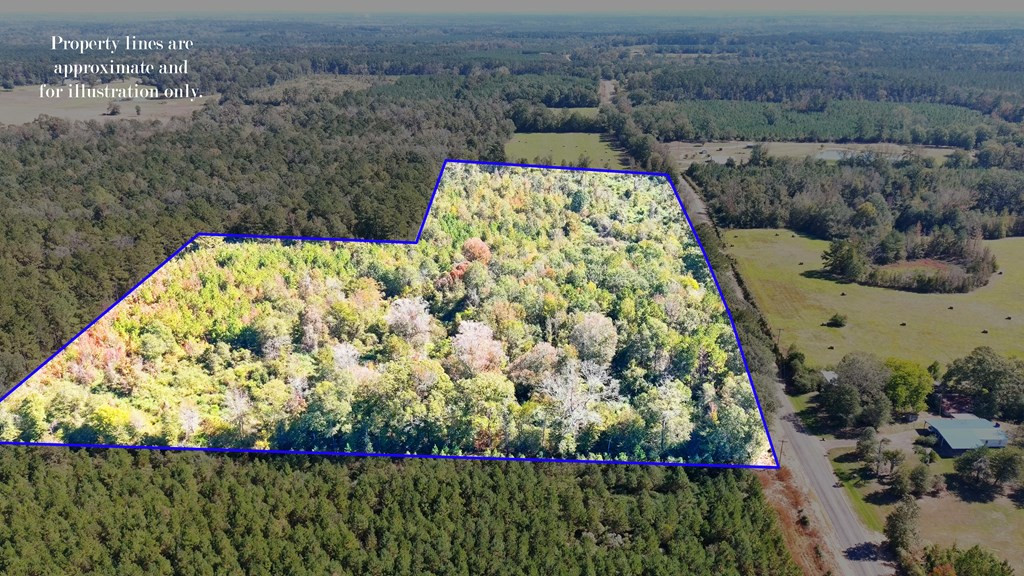 0 Fenn Road Smithdale, MS 39664 - Photo 7 of 18 Photo 7