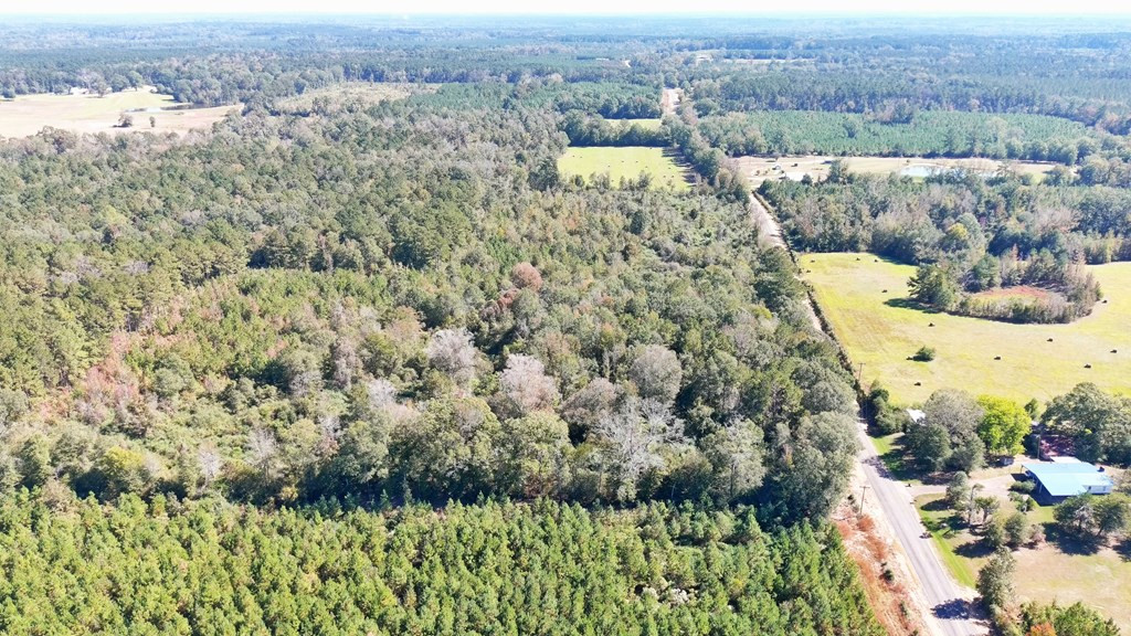 0 Fenn Road Smithdale, MS 39664 - Photo 8 of 18 Photo 8