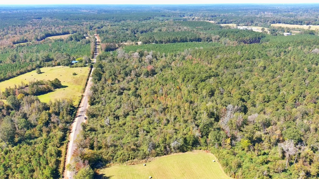 0 Fenn Road Smithdale, MS 39664 - Photo 9 of 18 Photo 9