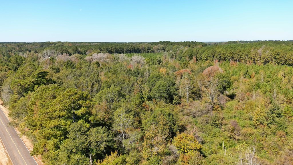 0 Fenn Road Smithdale, MS 39664 - Photo 10 of 18 Photo 10