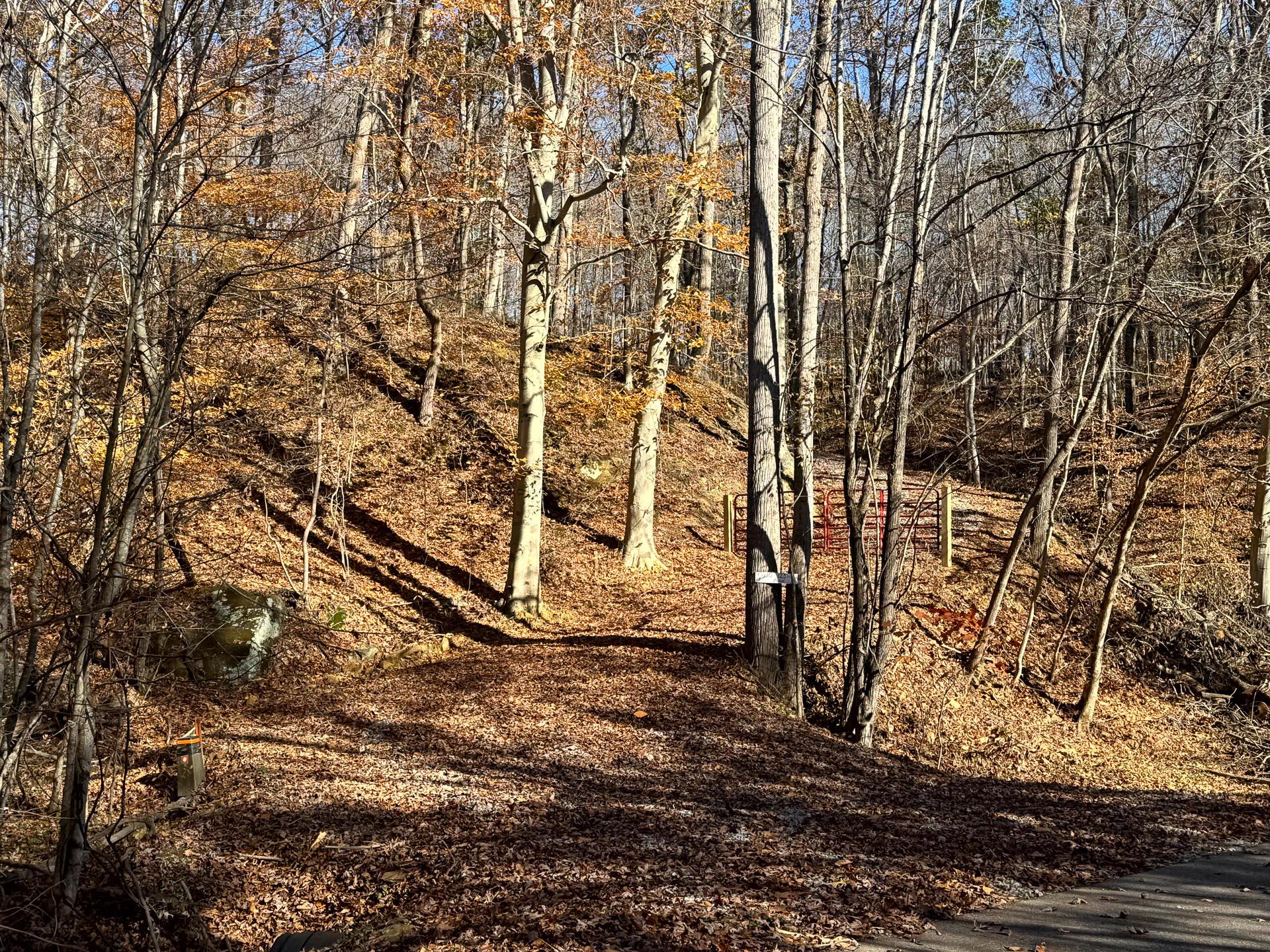 680 Nibert Road, Unit PONDS POPLAR RIDGE TRACT 10) Gallipolis, OH 45631 - Photo 4 of 46 CT-4