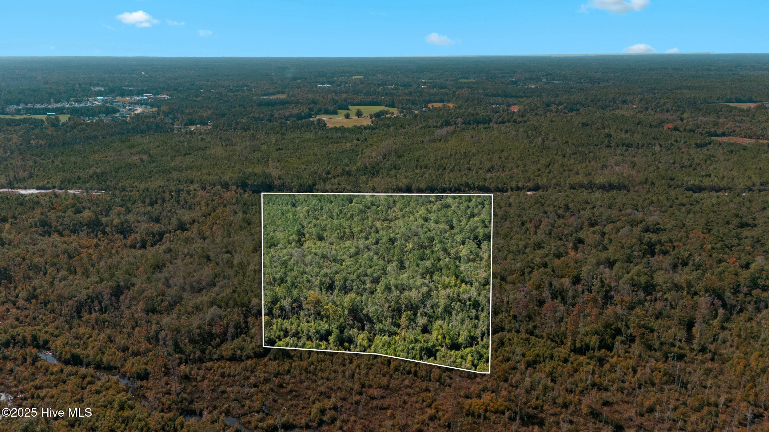 0 Green Swamp Rd Road Northwest Supply, NC 28462 - Photo 4 of 35 32_lot lines 3