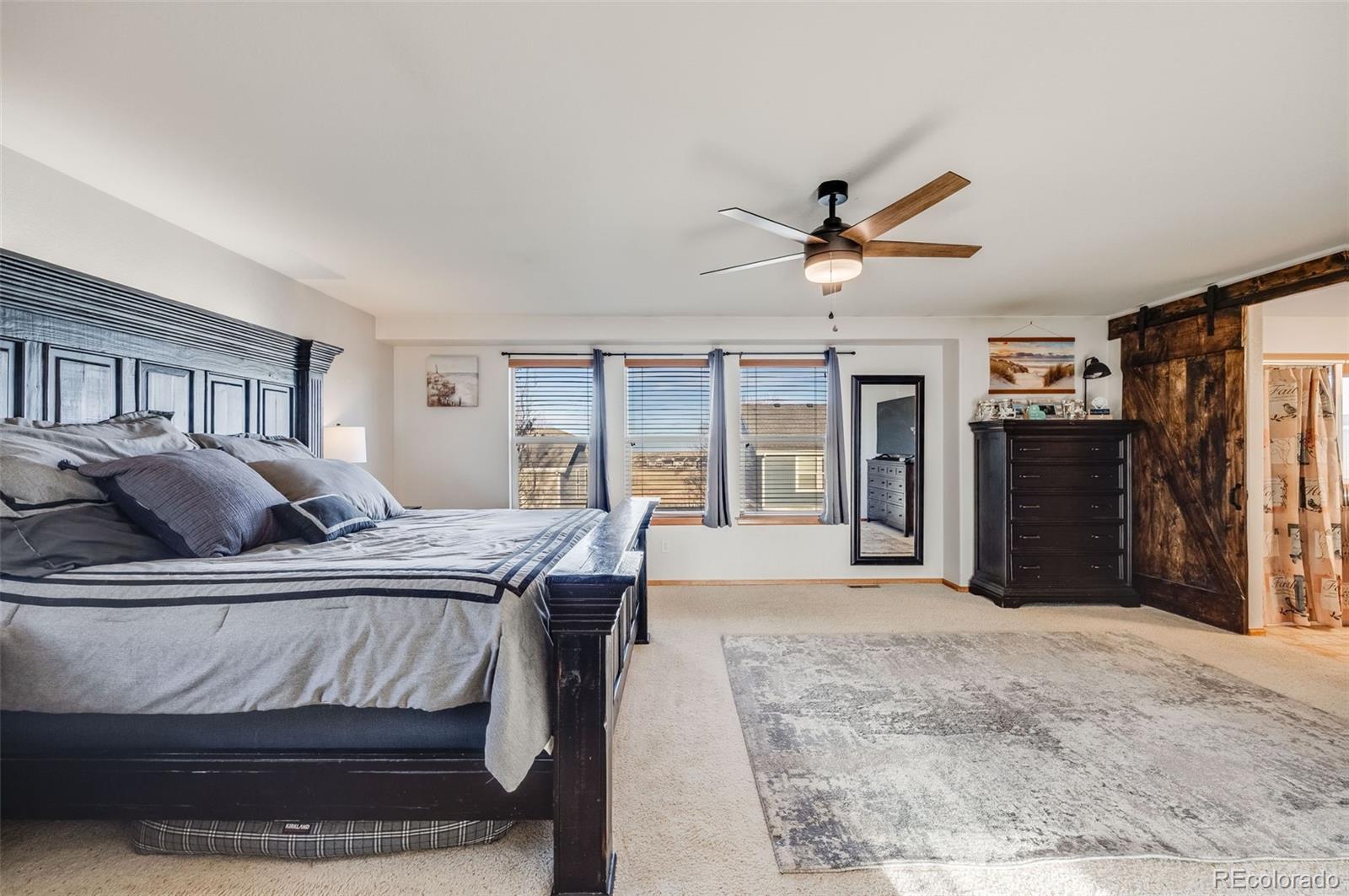 576 Hedgerow Way Brighton, CO 80601 - Photo 20 of 50