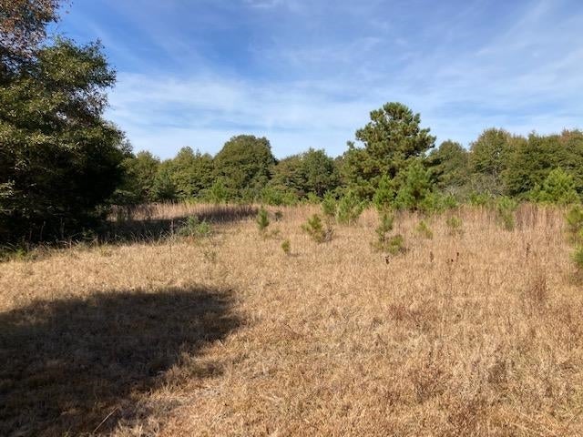 0 Prestwood Bridge Road Andalusia, AL 36421 - Photo 3 of 6 Gallery Image 3