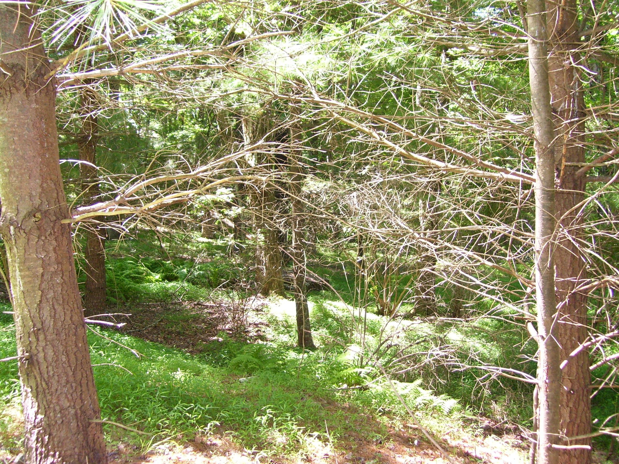 Lot #2 Rebels Road Hawley, PA 18428 - Photo 3 of 8