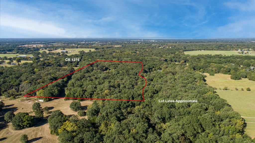 412 County Road 1275 Emory, TX 75440 - Photo 14 of 18 a view of city and mountain