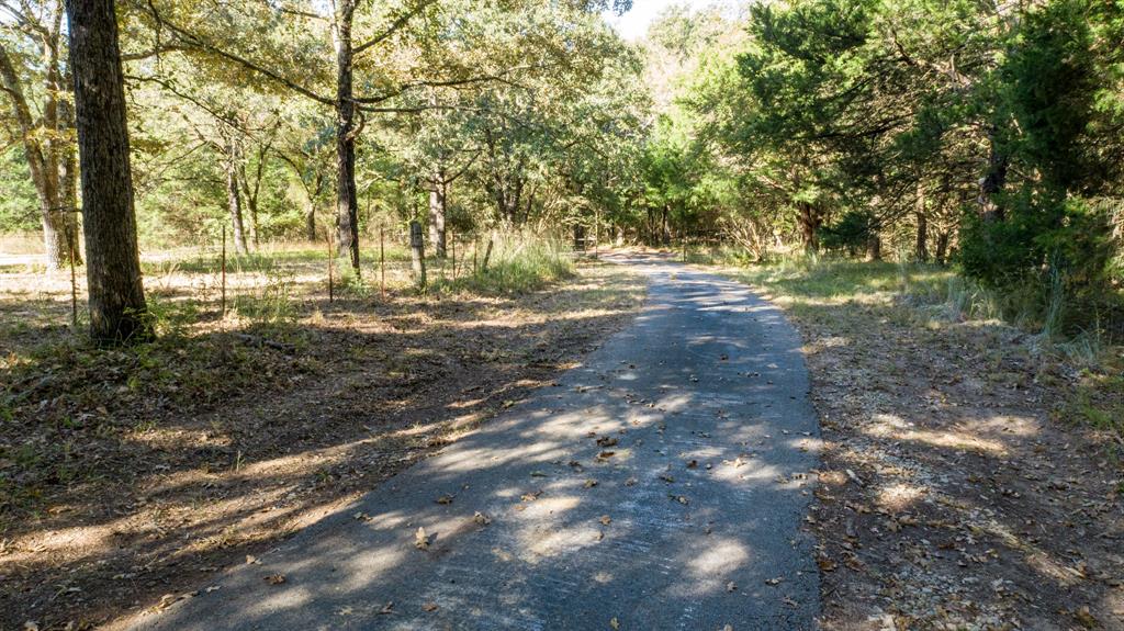 412 County Road 1275 Emory, TX 75440 - Photo 3 of 18 a view of outdoor space with trees