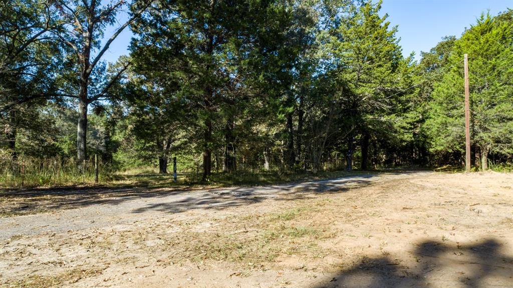 412 County Road 1275 Emory, TX 75440 - Photo 5 of 18 a view of of trees with yard