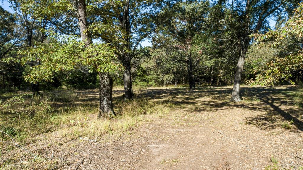 412 County Road 1275 Emory, TX 75440 - Photo 6 of 18 a backyard of a house with lots of green space