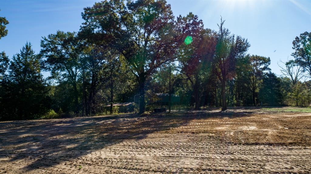 412 County Road 1275 Emory, TX 75440 - Photo 7 of 18 a view of street with trees