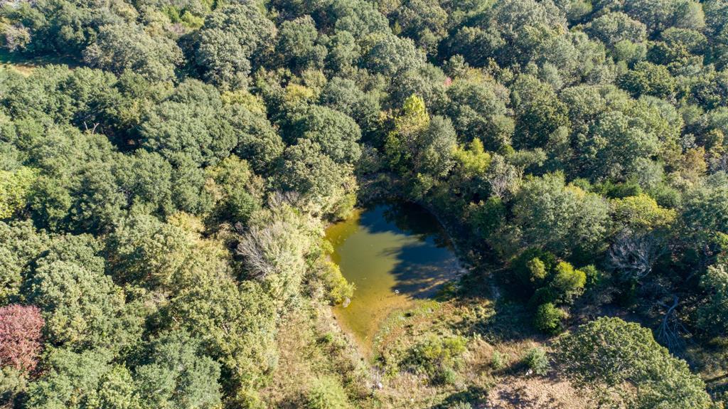 412 County Road 1275 Emory, TX 75440 - Photo 8 of 18 a view of a lake view