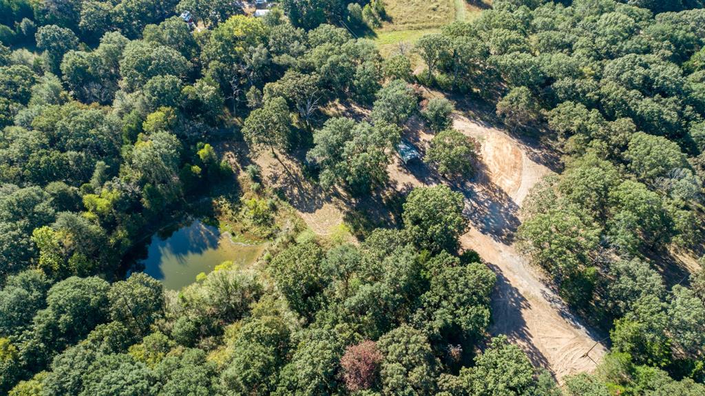 412 County Road 1275 Emory, TX 75440 - Photo 9 of 18 an aerial view of residential houses with outdoor space and trees