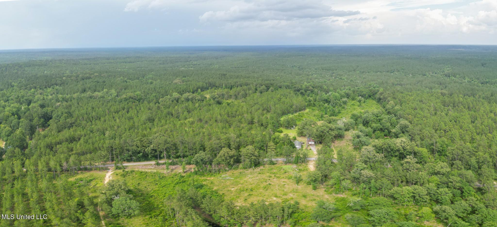 Nhn Tower Road Wiggins, MS 39577 - Photo 3 of 3 Tower-4
