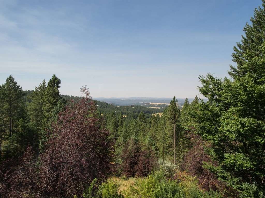 7020 East Jamieson Road Spokane, WA 99223 - Photo 4 of 20
