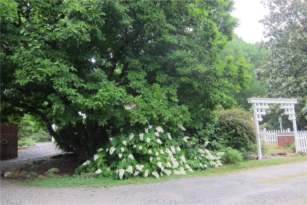 2419 Oak Ridge Road Oak Ridge, NC 27310 - Photo 20 of 30 Wonder buds and blooms here.