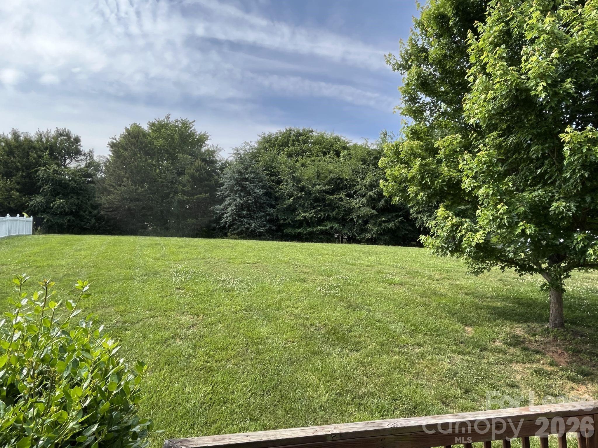 8531 Camberly Road Huntersville, NC 28078 - Photo 30 of 32 a view of a field with an trees in the background