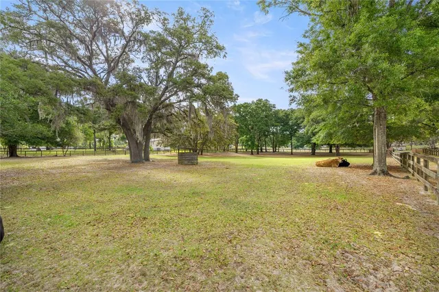 a view of outdoor space with garden