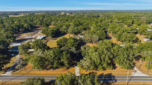a view of a green field with lots of bushes