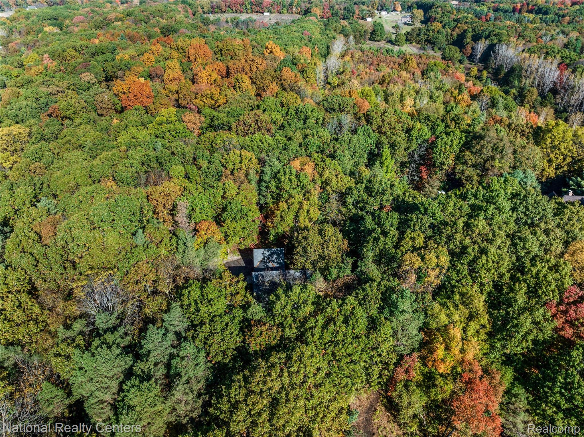 2322 Addaleen Road Highland, MI 48357 - Photo 47 of 54 Aerial view of property's location with a forest