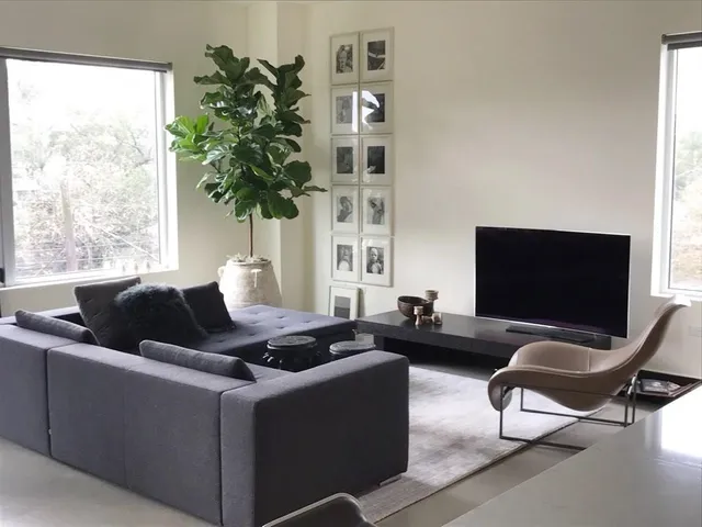 a living room with furniture and a potted plant