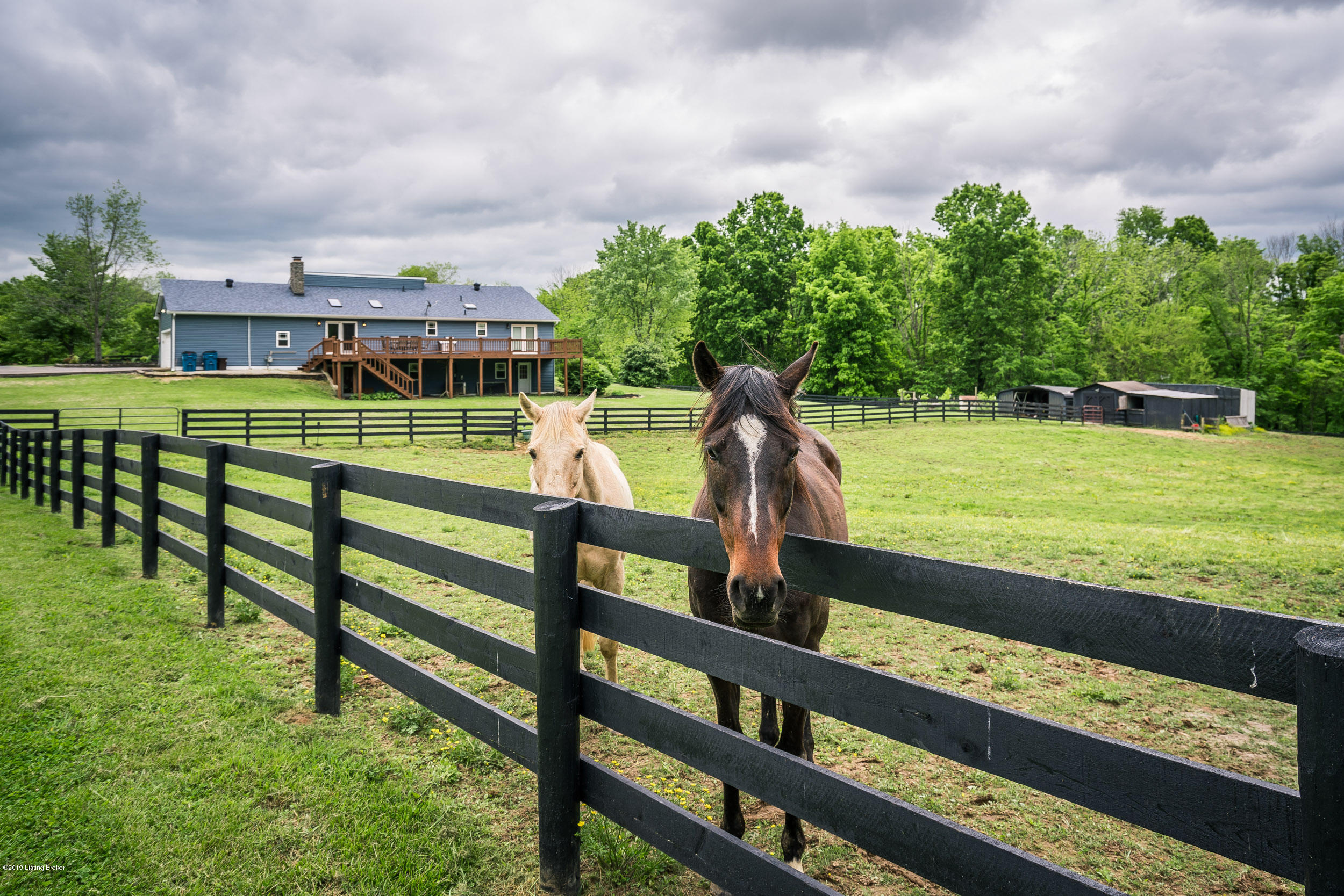 4010 Briar Ridge Road La Grange, KY 40031 - Photo 42 of 70 4010 Briar Ridge Rd-71